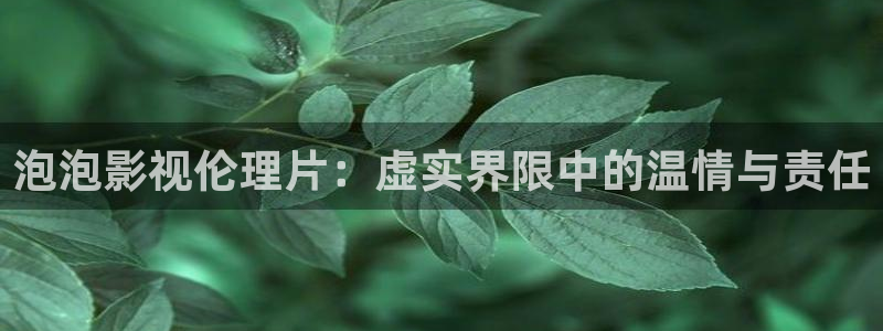 理論電影中文字幕：泡泡影視倫理片：虛實界限中的溫情與責任
