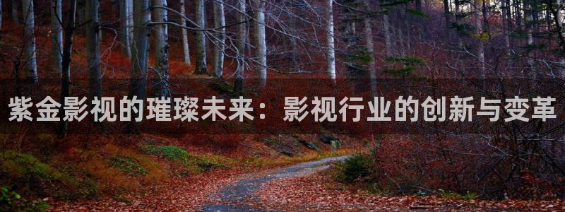 秋霞理論電影免費觀看：紫金影視的璀璨未來：影視行業的創新與變革