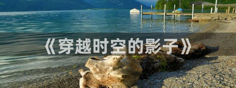 美國歐美理論電影